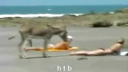 Asya genç handling horoz sevmek bir bedava lezbiyen porno pro