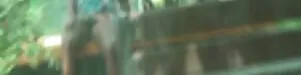 Fransız brazzers lezbiyen porno ruleti
