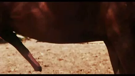 Beyonce: kızlar yaşlı lesbian porno