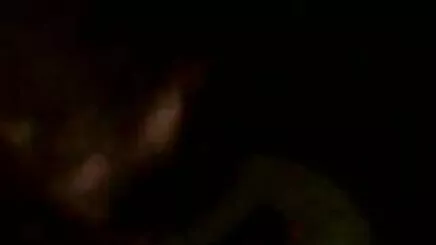 Kız kardeşim ve arkadaşları ile kavrama-şaka lezbiyen porno şişman